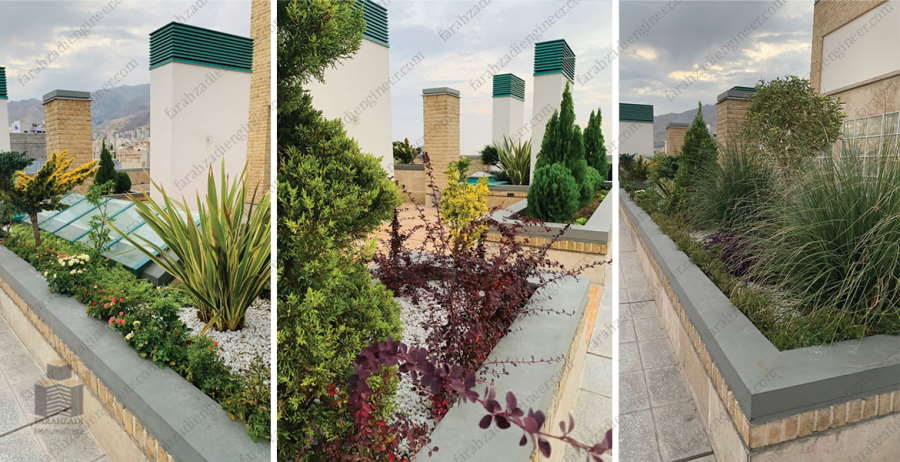 اجرای روف گاردن با پوشش گیاه گروه طرح و ساخت مهندس محمدرضا فرحزادی